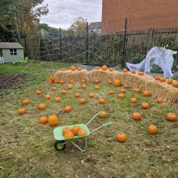 Halloween Party 2025