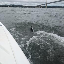 On The Water 2025